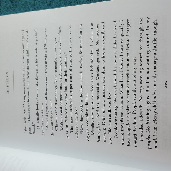 Under the bridge book - Picture 4 of 4